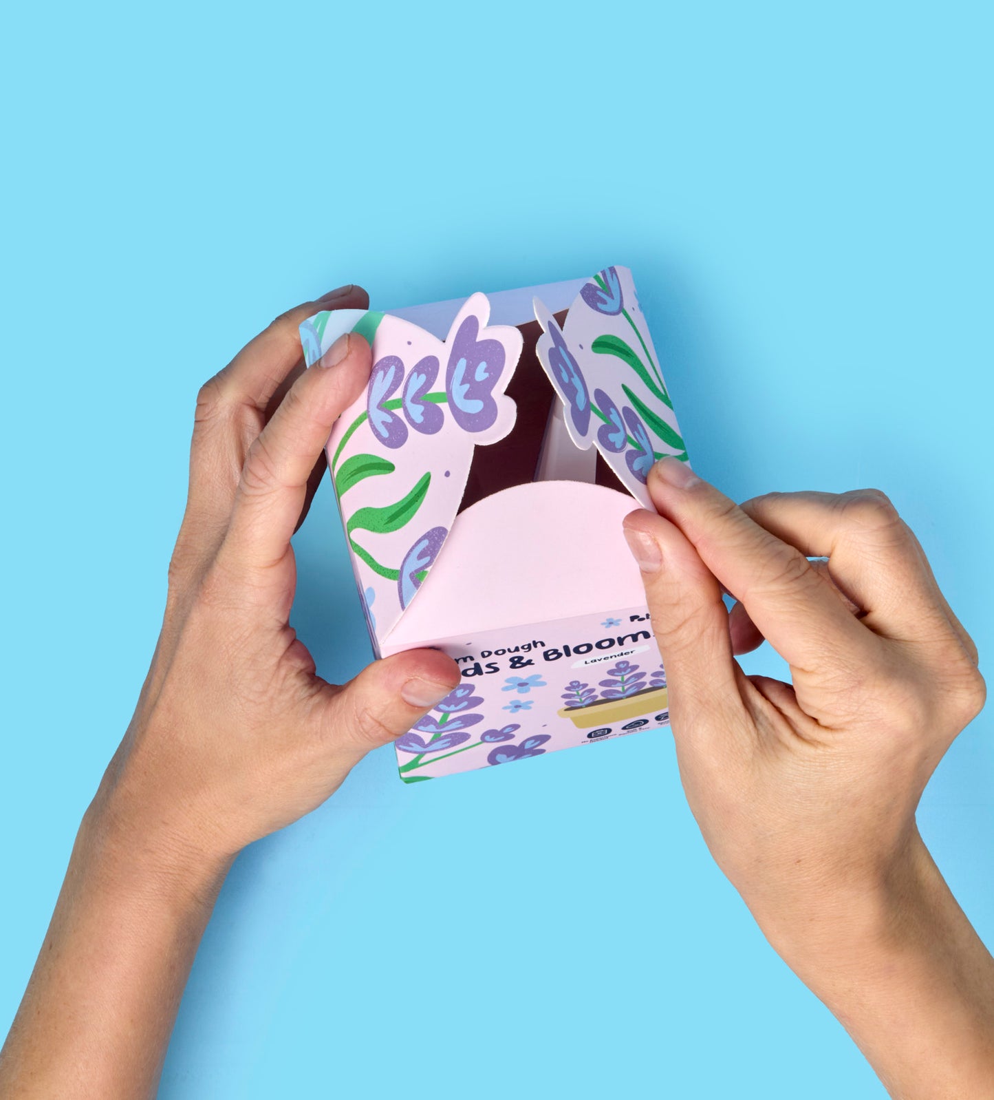 Buds & Blooms: Lavender