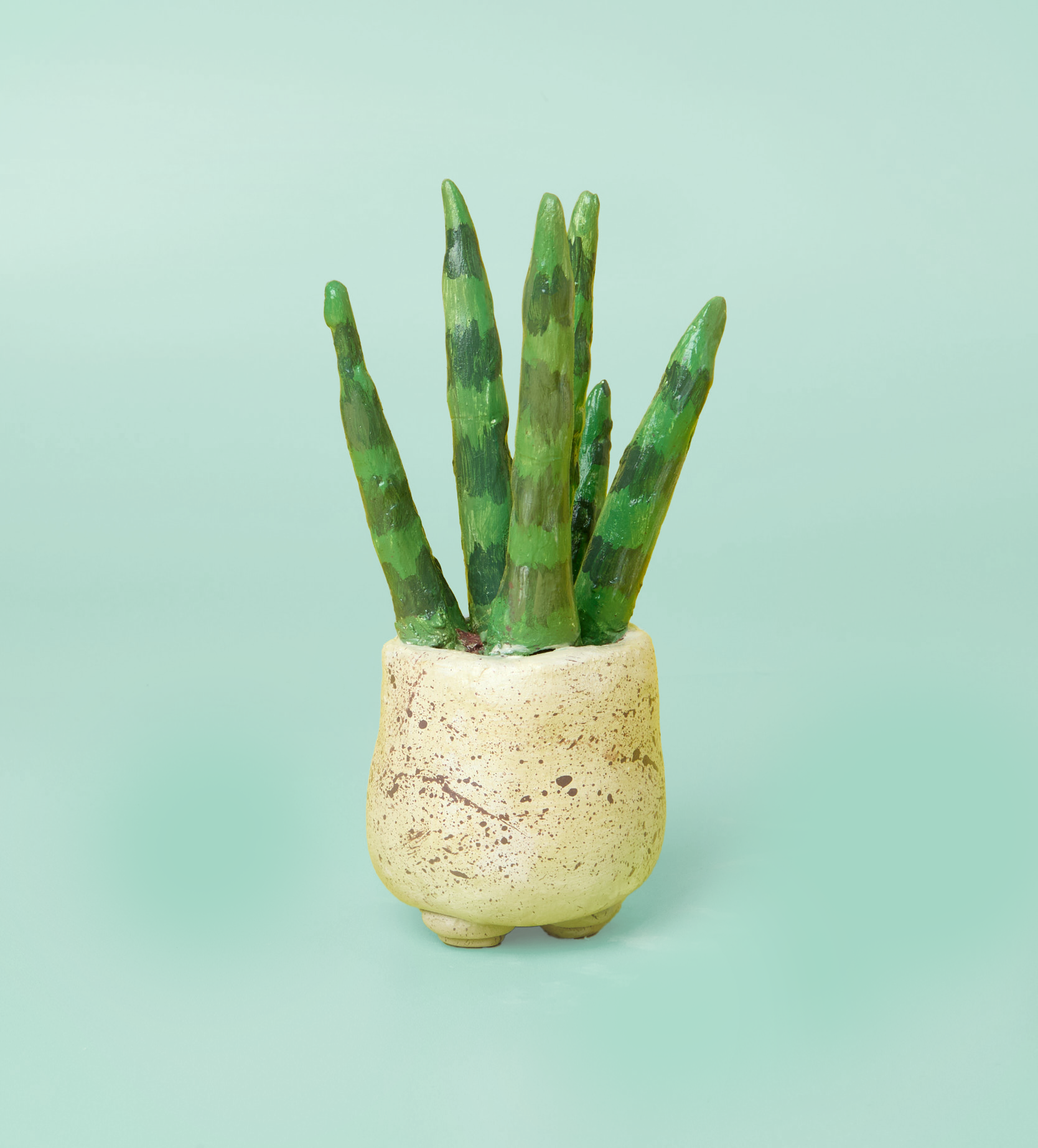 clay succulent kit Succulent Sculptures