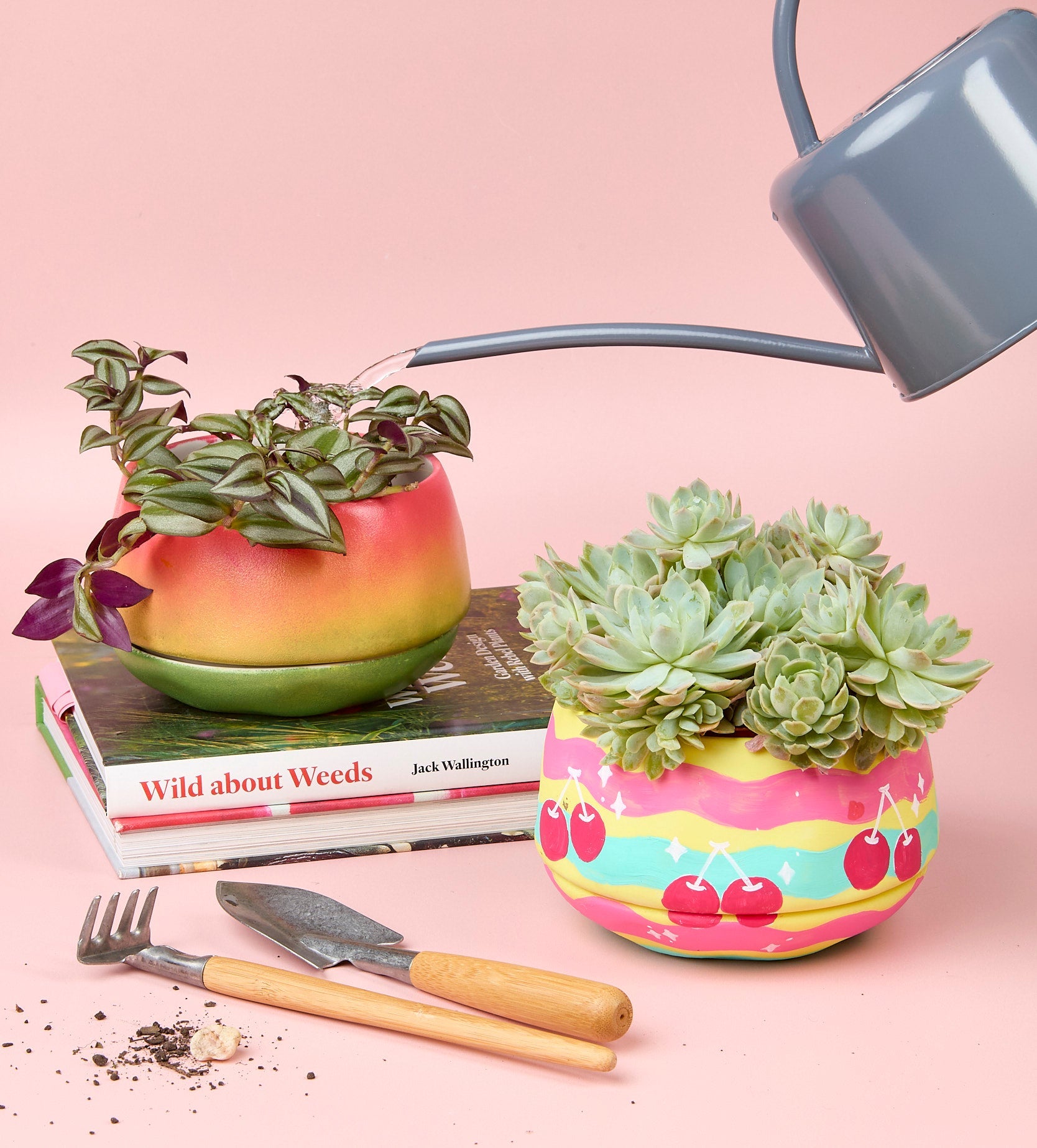 paint your own plant pot Paint-a-Plant Pot – Pott'd US