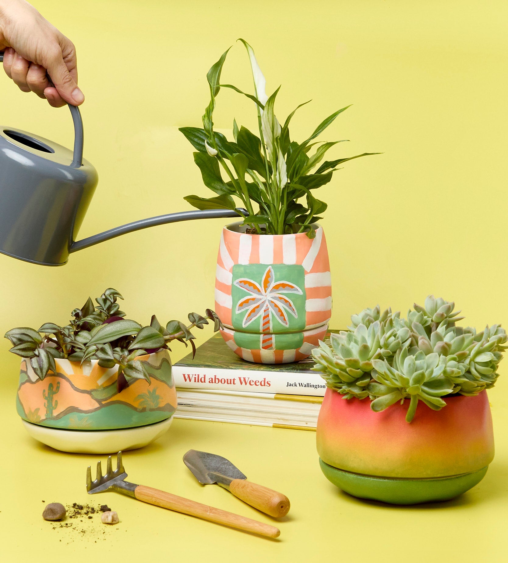 paint a plant pot kit Paint-a-Plant Pot