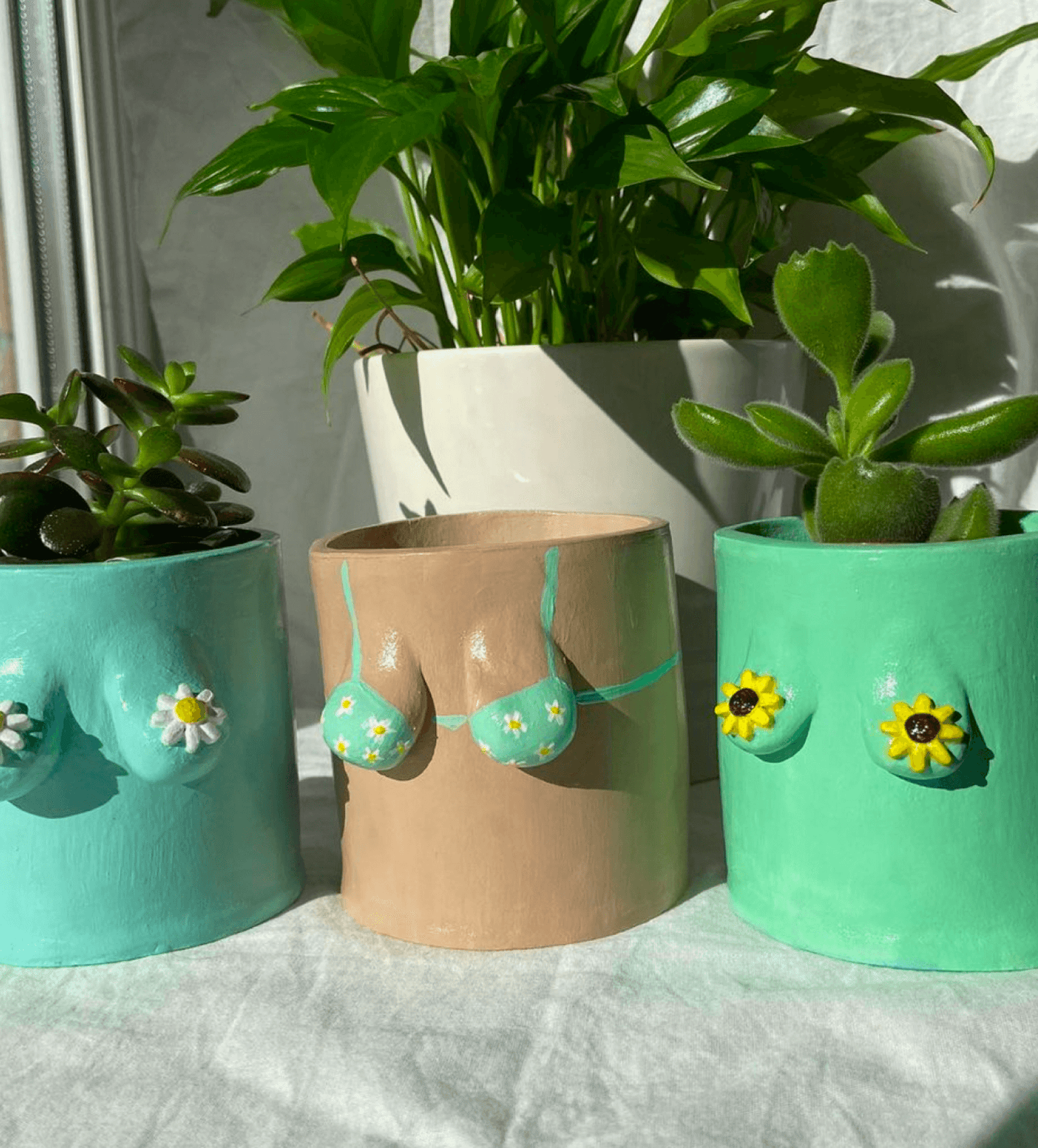 Pottery Kit Air Dry Clay Pott'd