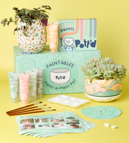 plant safe paint for pots Paint-a-Plant Pot