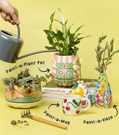 Paintables Mug, Vase & Plant Pot Bundle