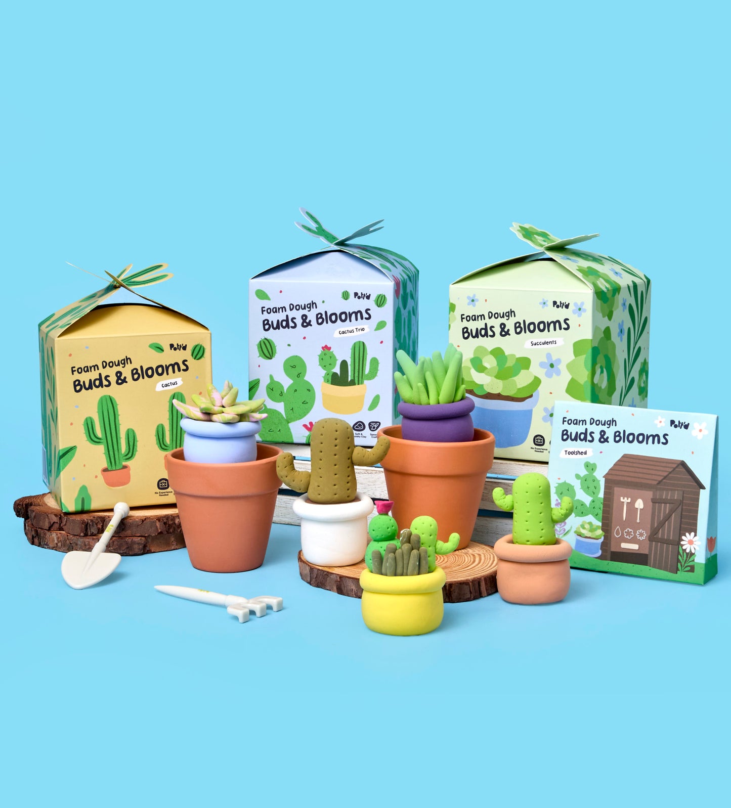 House Plant Bundle