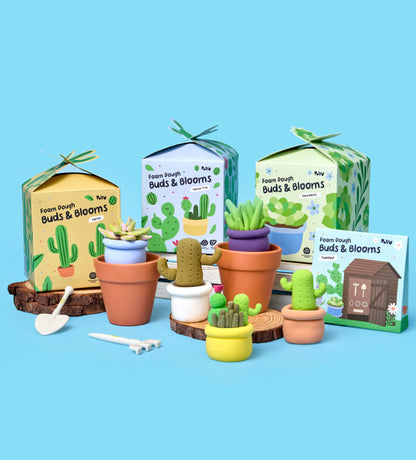 House Plant Bundle