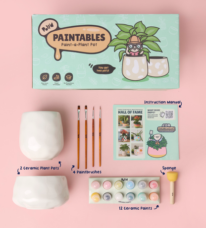 Paint-a-Plant Pot x2