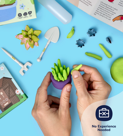 Buds & Blooms: Succulents