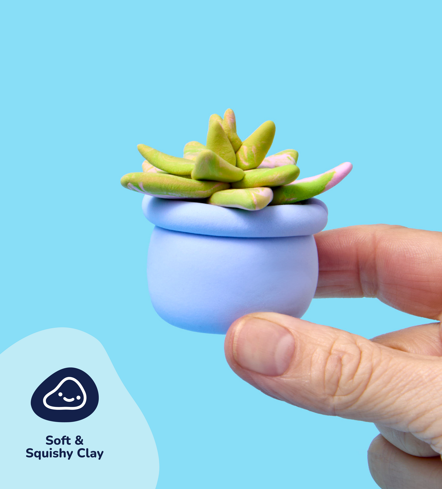 Buds & Blooms: Succulents