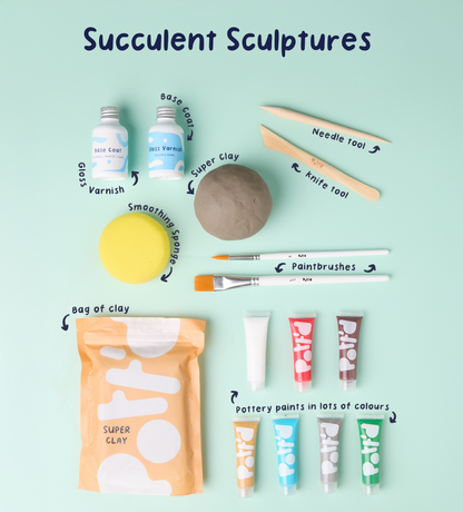 The Big Beginner Bundle