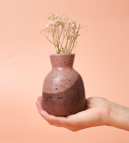 The Big Beginner Bundle