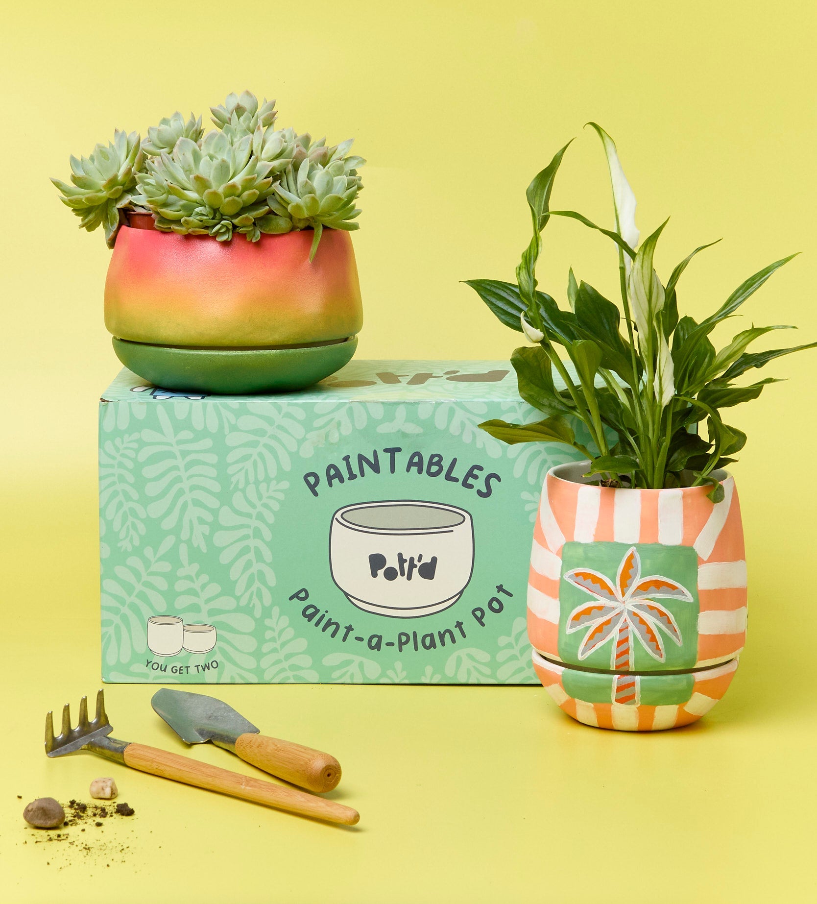 paint plant pot kit Paint-a-Plant Pot