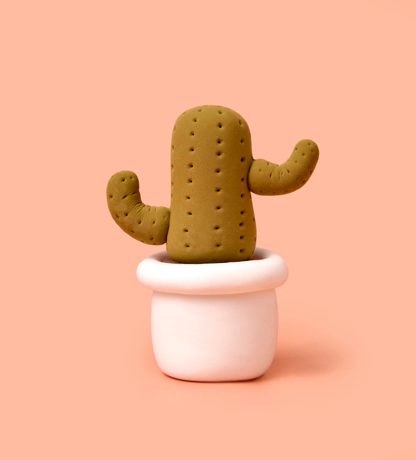 Buds & Blooms: Cactus