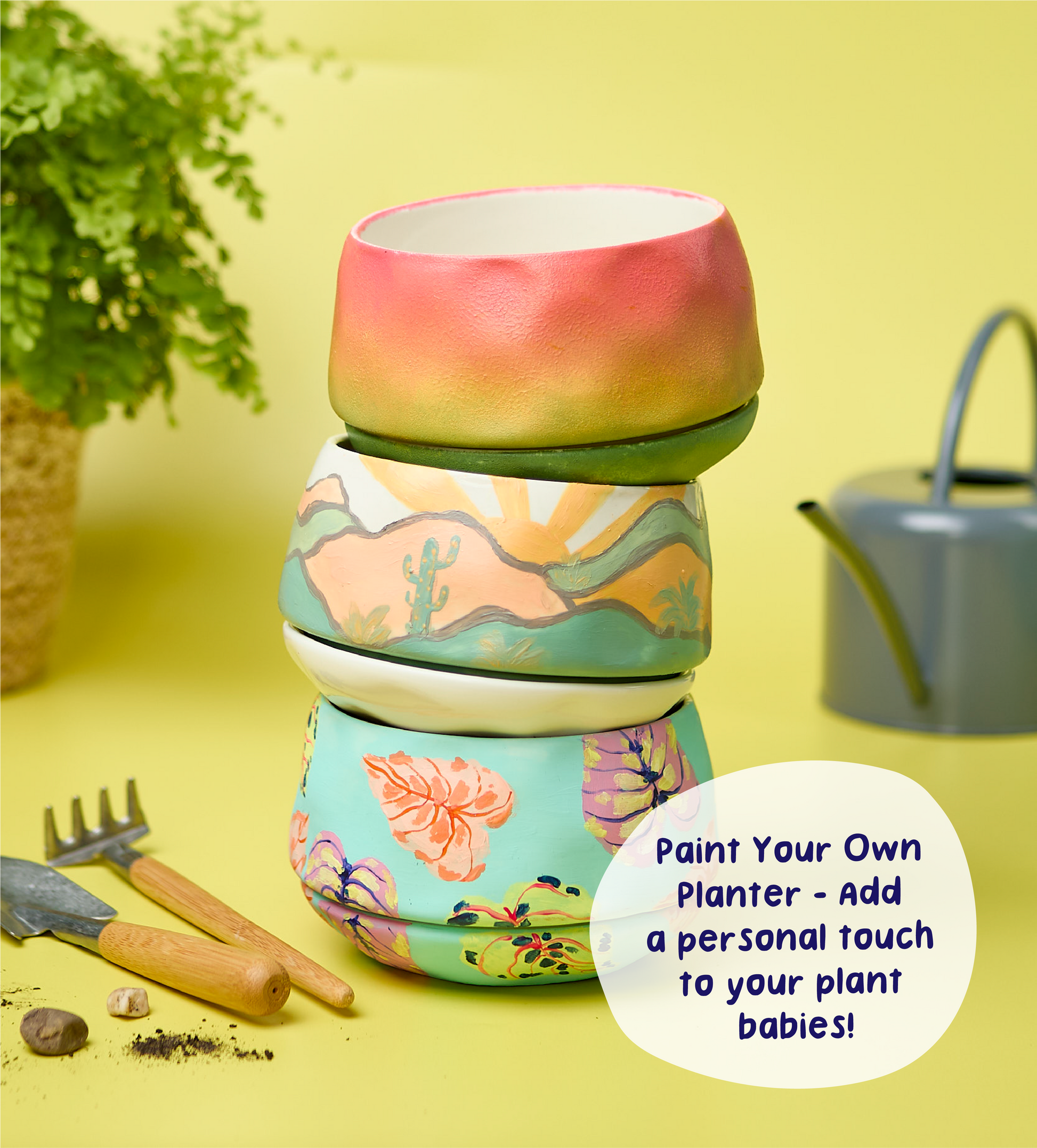 paint plant pot kit Paint-a-Plant Pot